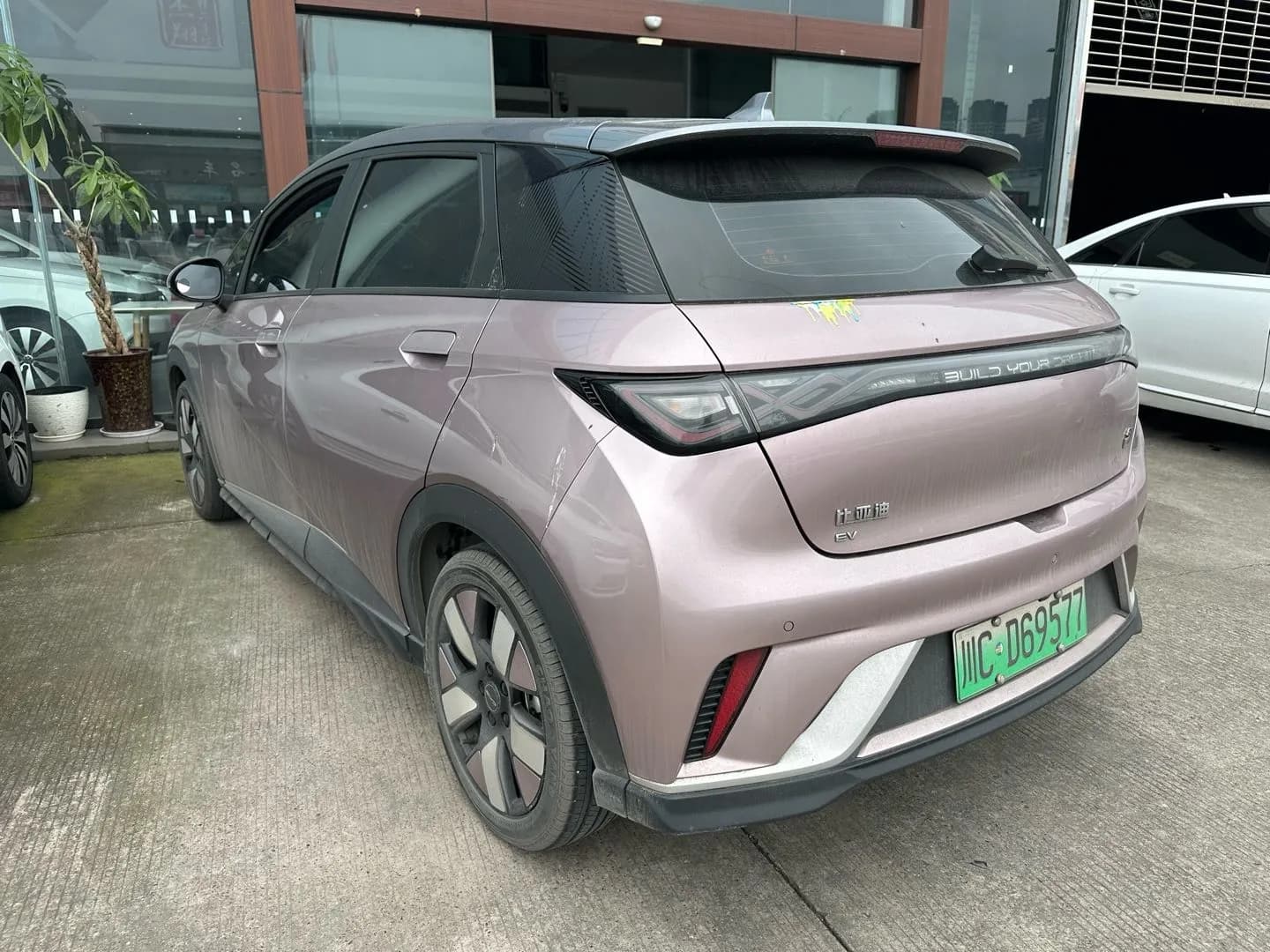 BYD Dolphin 2023 5
