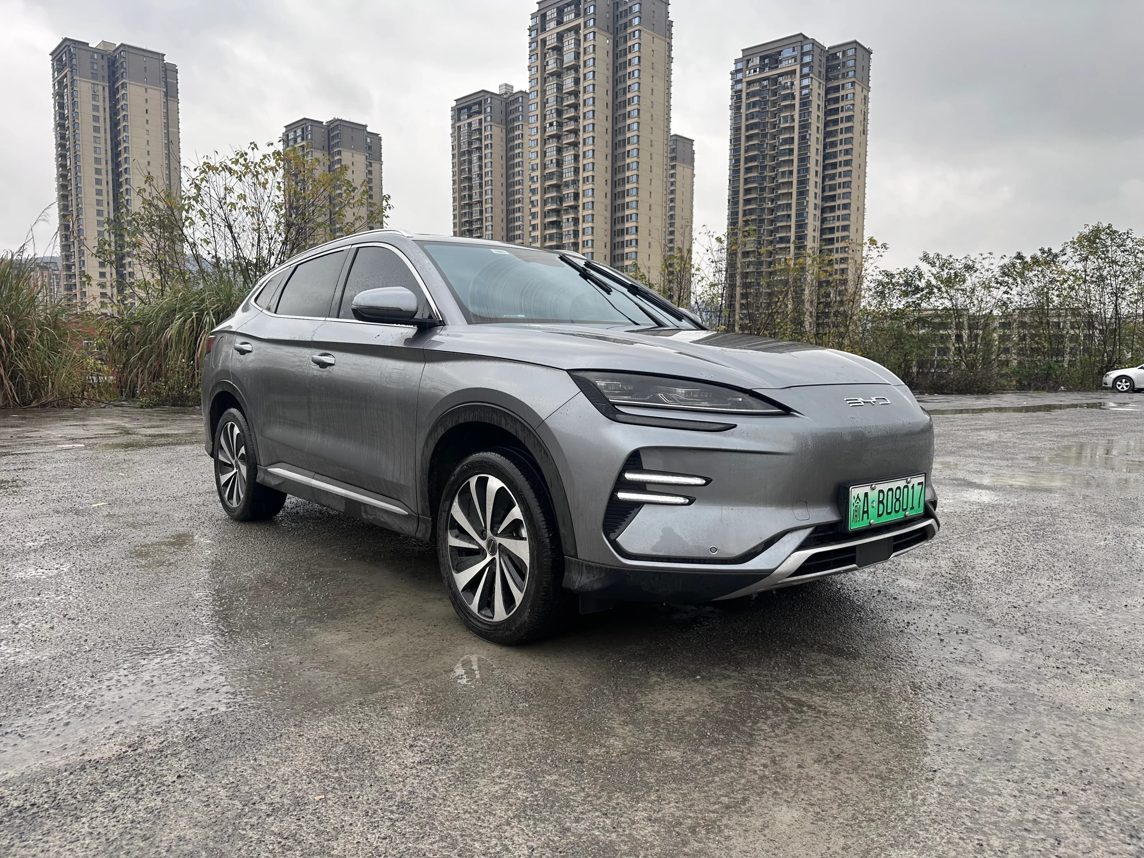 BYD Song PLUS 2024 2