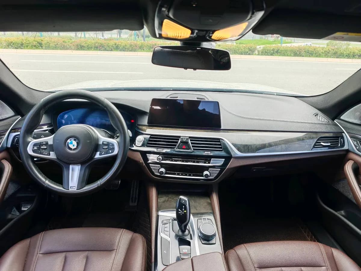 BMW 5 2019 525Li 6