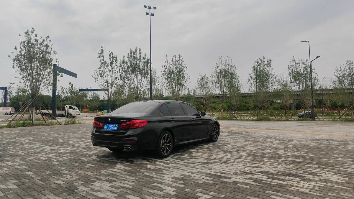 BMW 5 2019 525Li 10