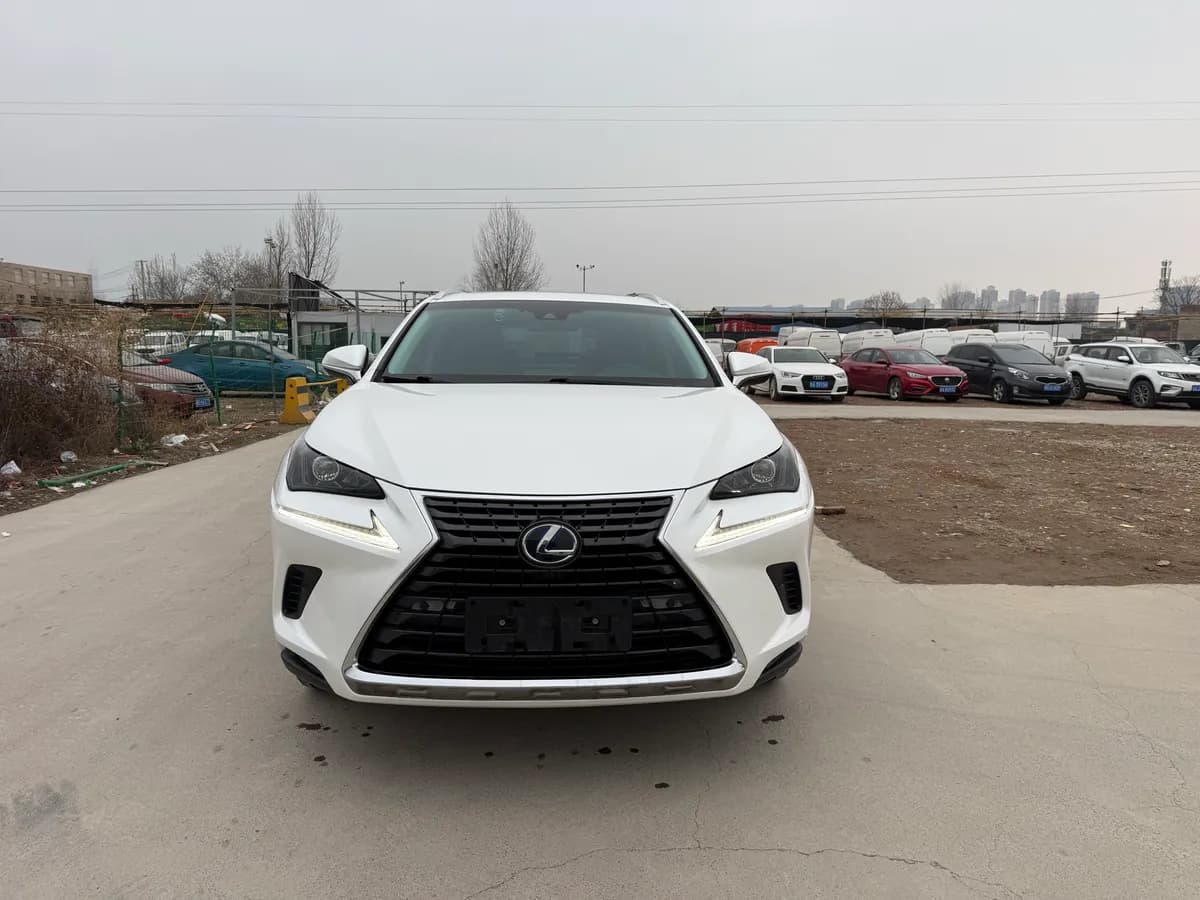 Lexus NX 2018 300h V 2