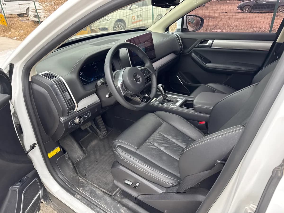 BYD 2018 2.0T 7 V 3
