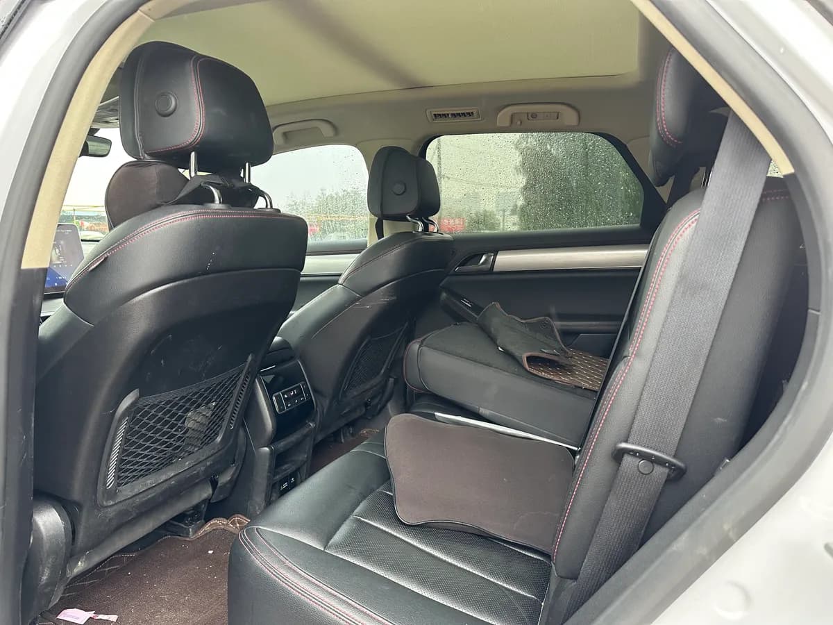 BYD 2021 DM 2.0T 7