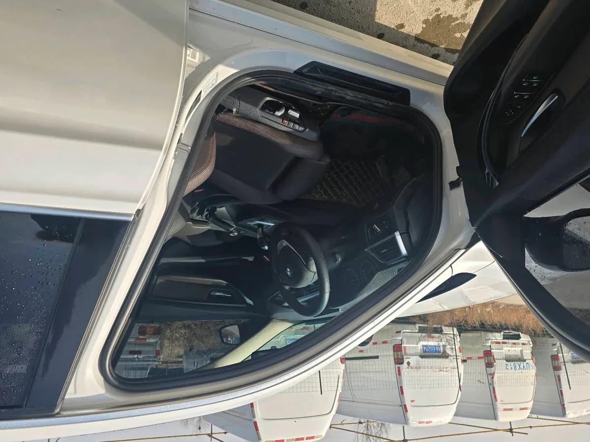 BMW 3 2018 320Li 8