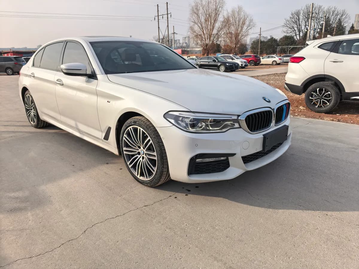 BMW 5 2018 530Li M 3
