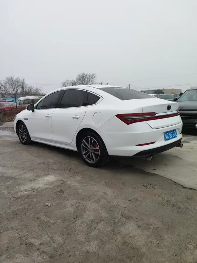 BYD Pro 2018 1.5TI 4