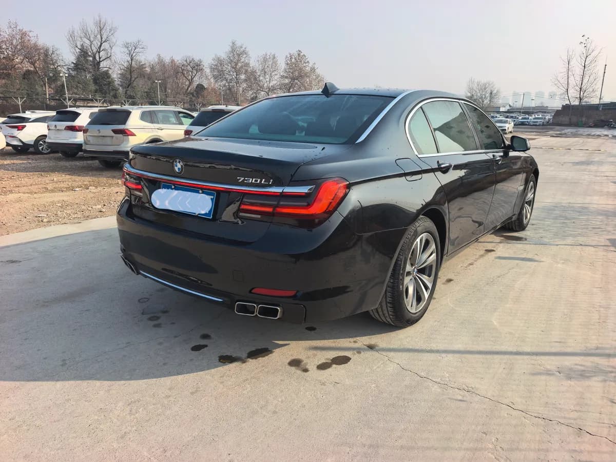 BMW 7 2011 730Li 6