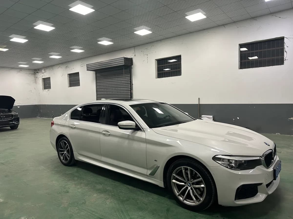 BMW 5 2020 525Li 3