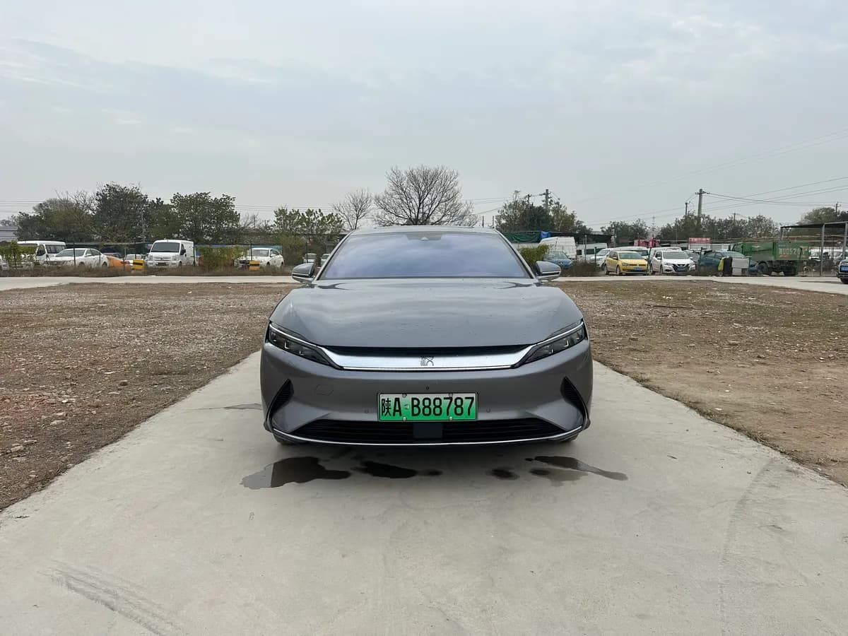 BYD 2020 EV 2