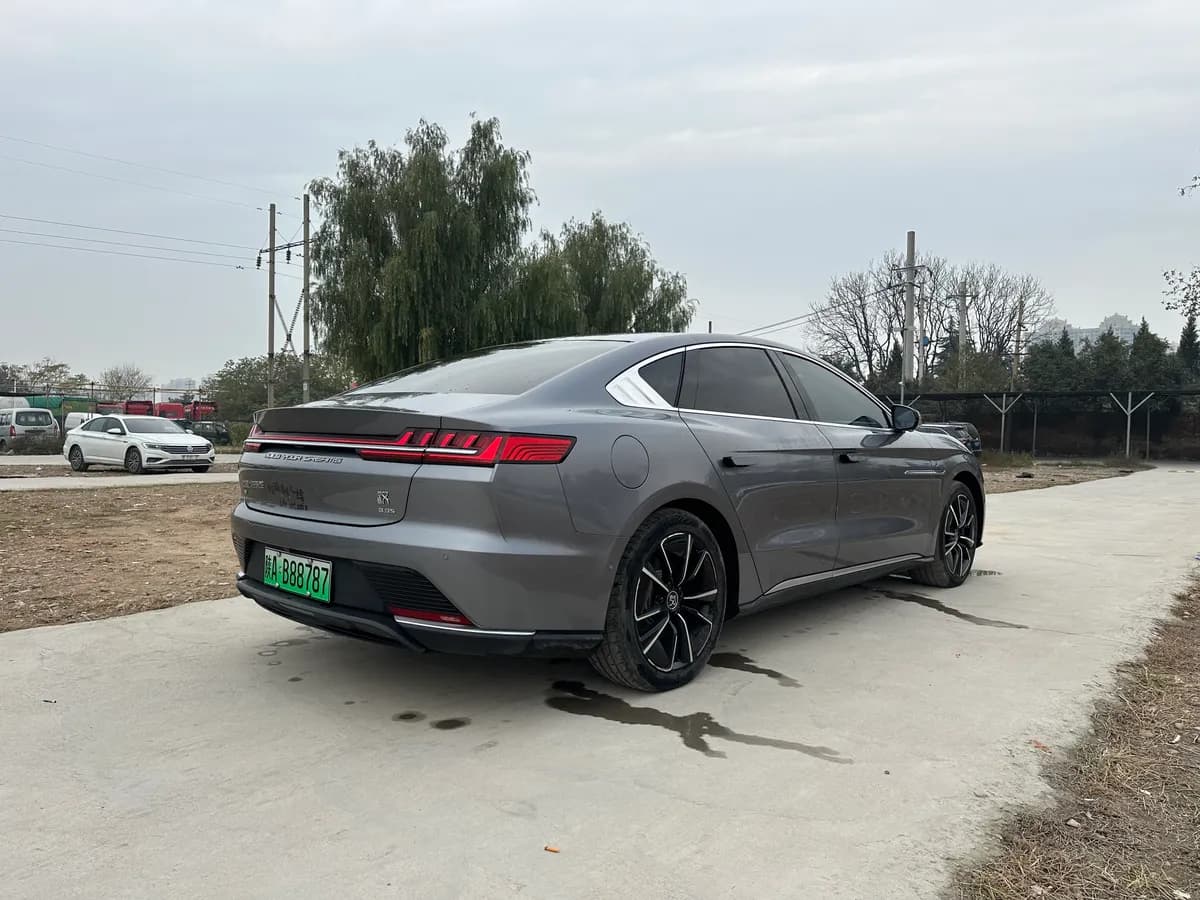 BYD 2020 EV 4