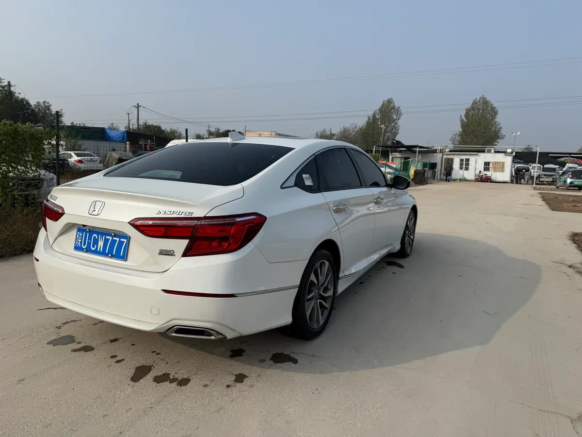 Honda 2019 260TURBO VI 6