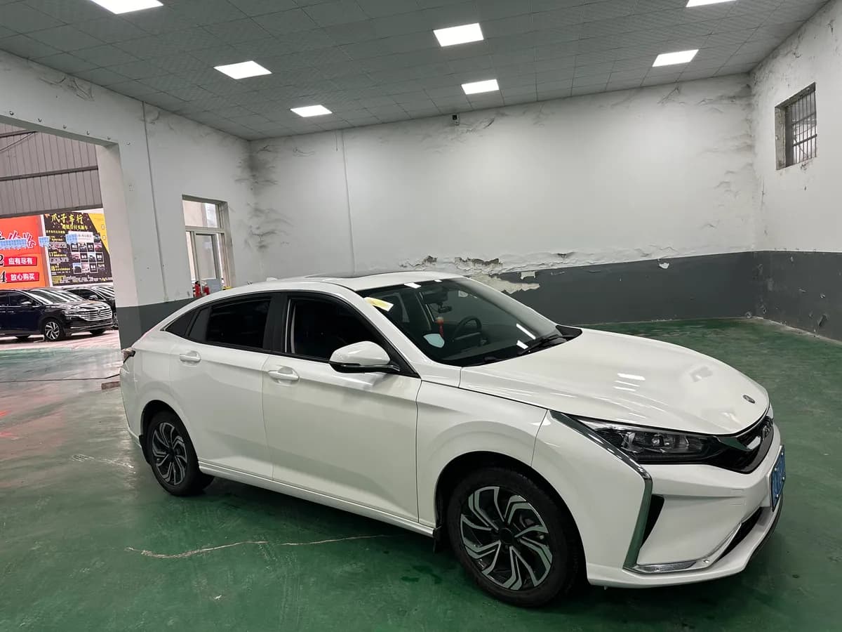 Dongfeng 2021 230T 3