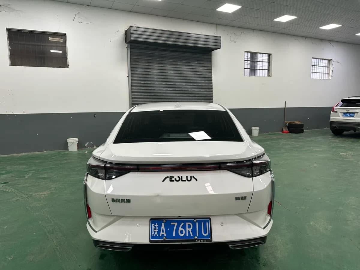 Dongfeng 2021 230T 5