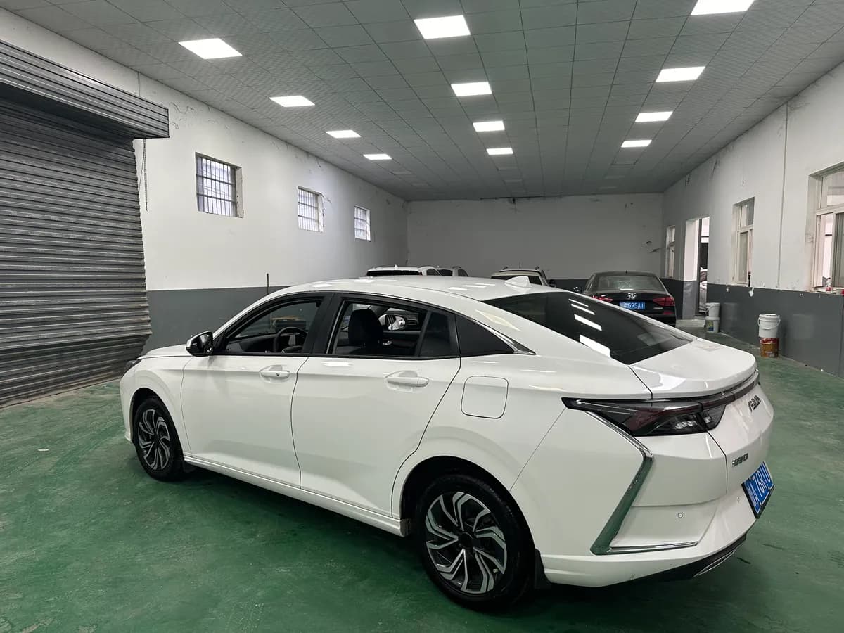 Dongfeng 2021 230T 6