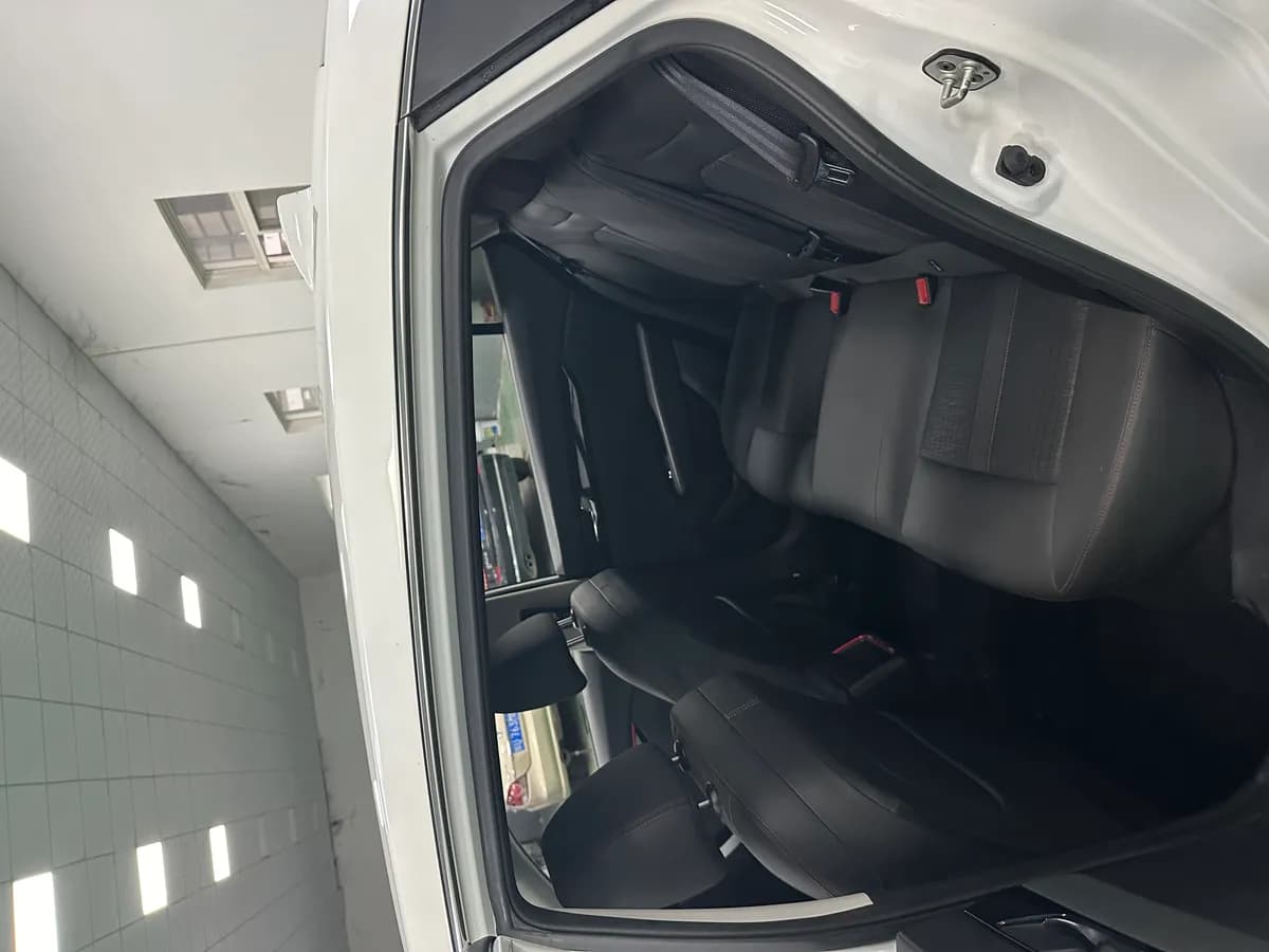 Dongfeng 2021 230T 8