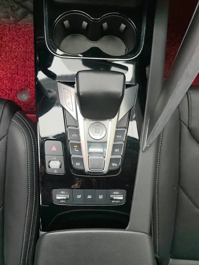 BYD Pro 2019 DM 1.5T 5