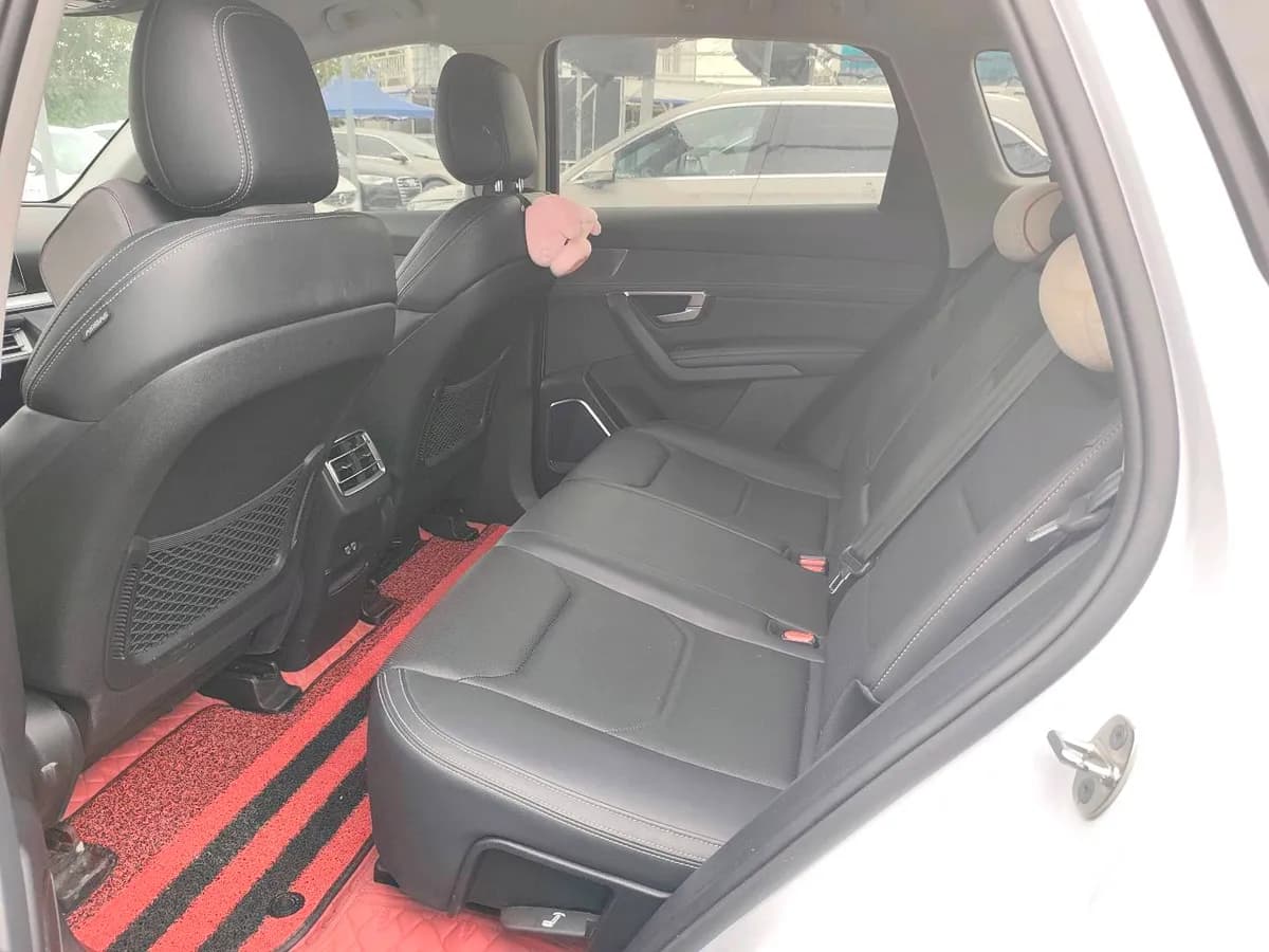 BYD Pro 2019 DM 1.5T 6