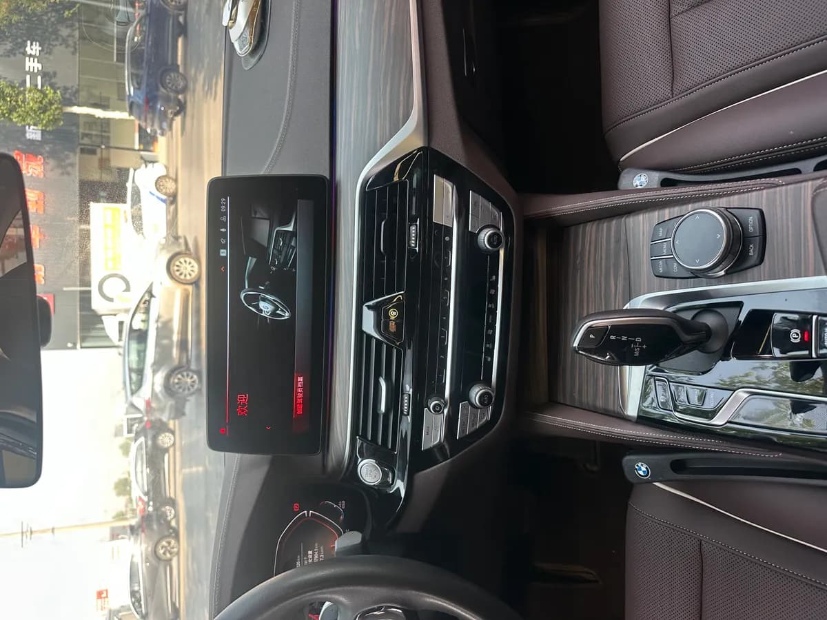 BMW 5 2023 530Li xDrive 10