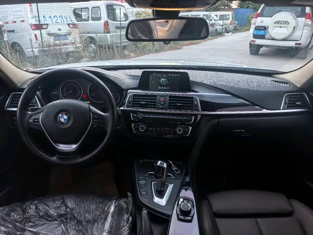BMW 3 2019 320Li xDrive 9