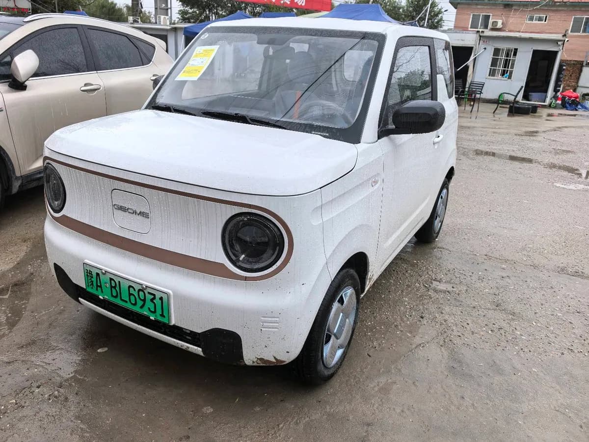 Geely Galaxy Panda Mini 2024