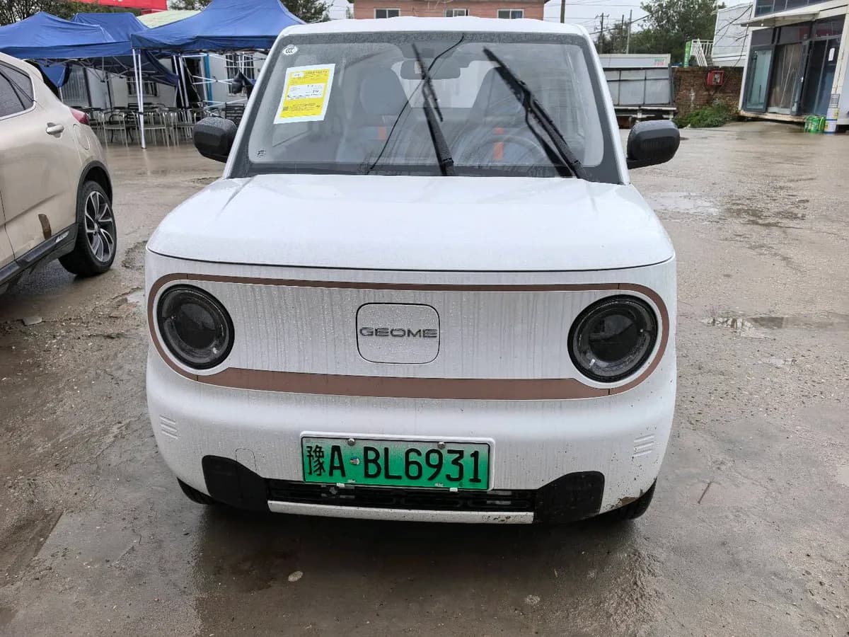 Geely Galaxy Panda Mini 2024 2