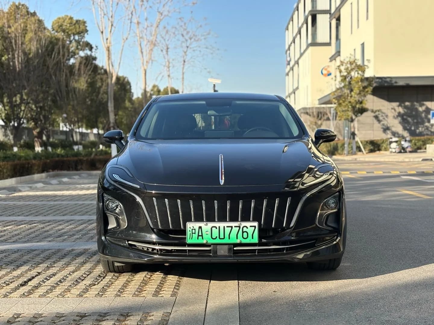 Hongqi E-QM5 2022 2