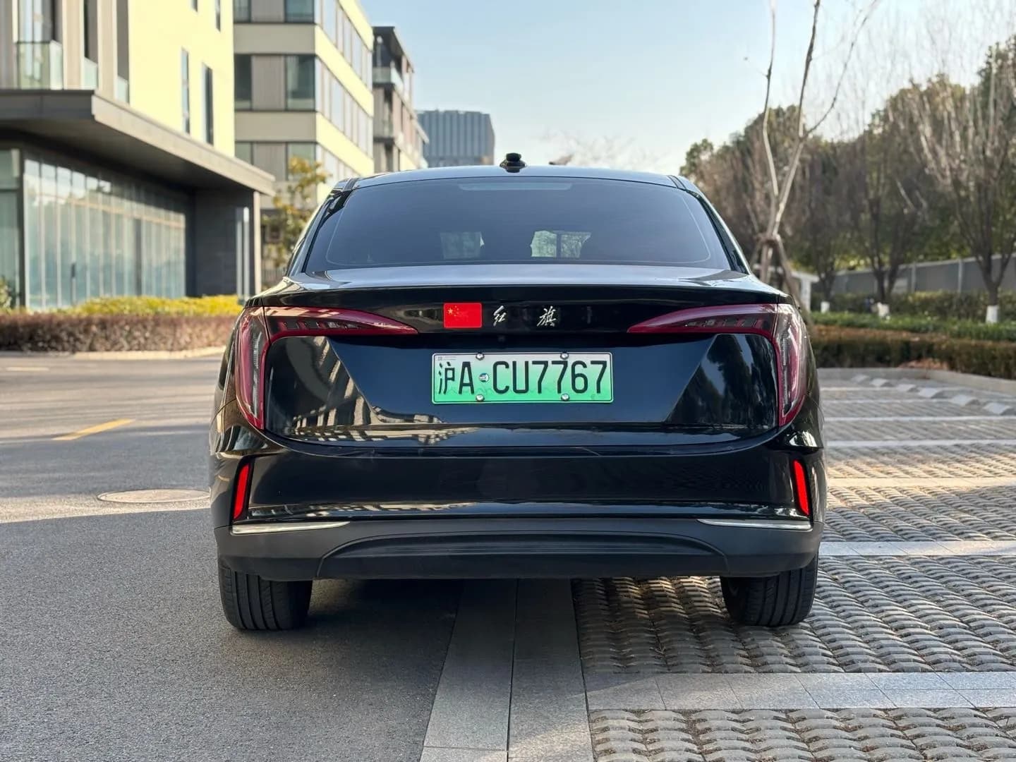 Hongqi E-QM5 2022 5