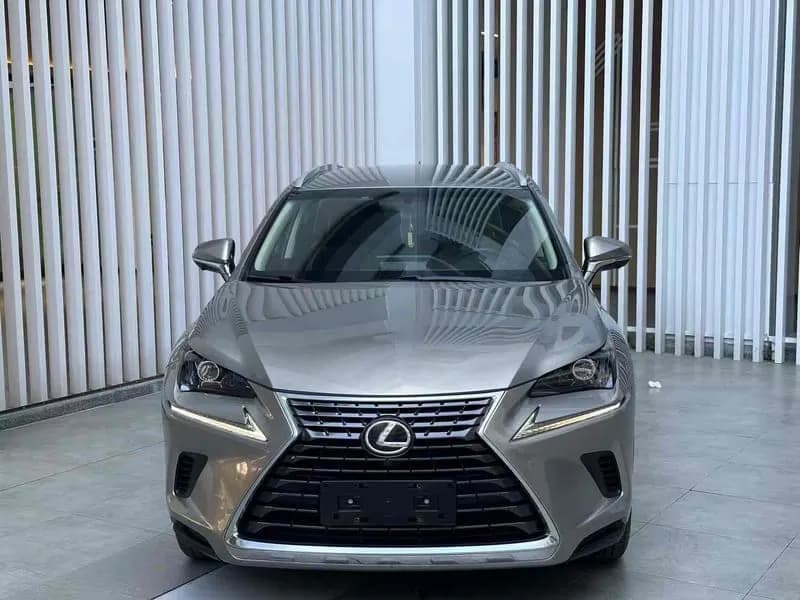 Lexus NX 2018 2