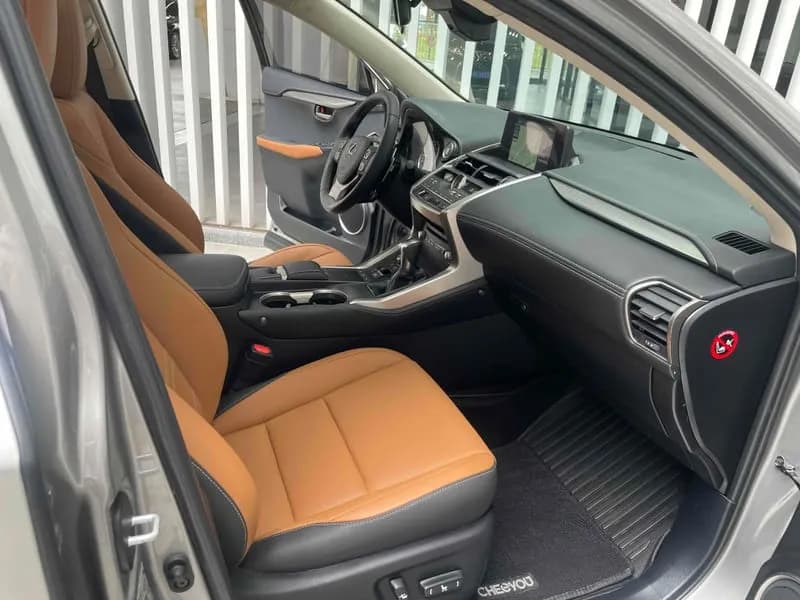 Lexus NX 2020 5