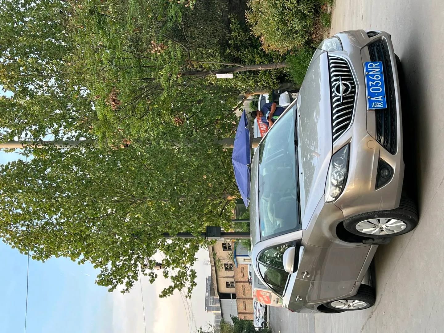 Haima MT Style 2013 2