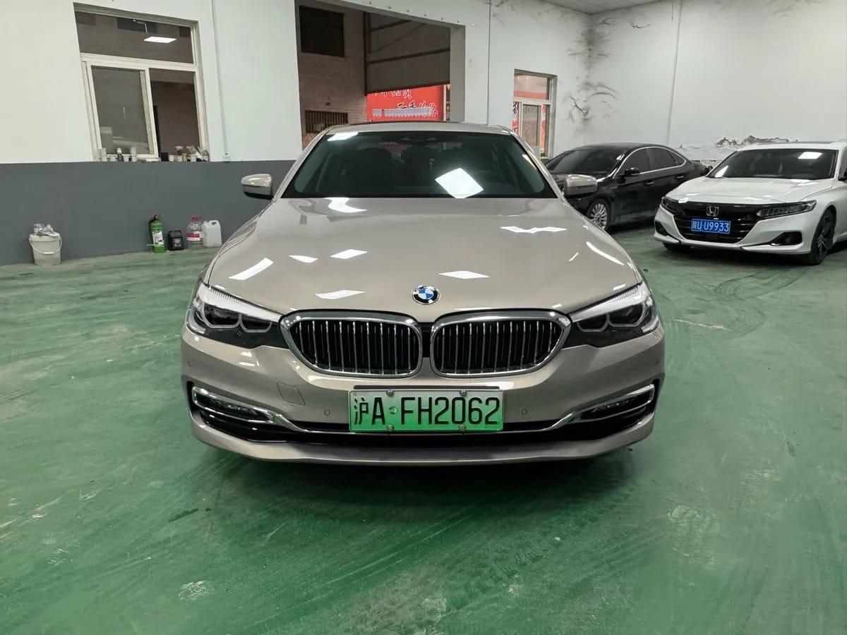 BMW 5 2018 530Le 2