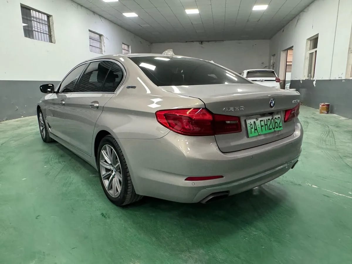 BMW 5 2018 530Le 6