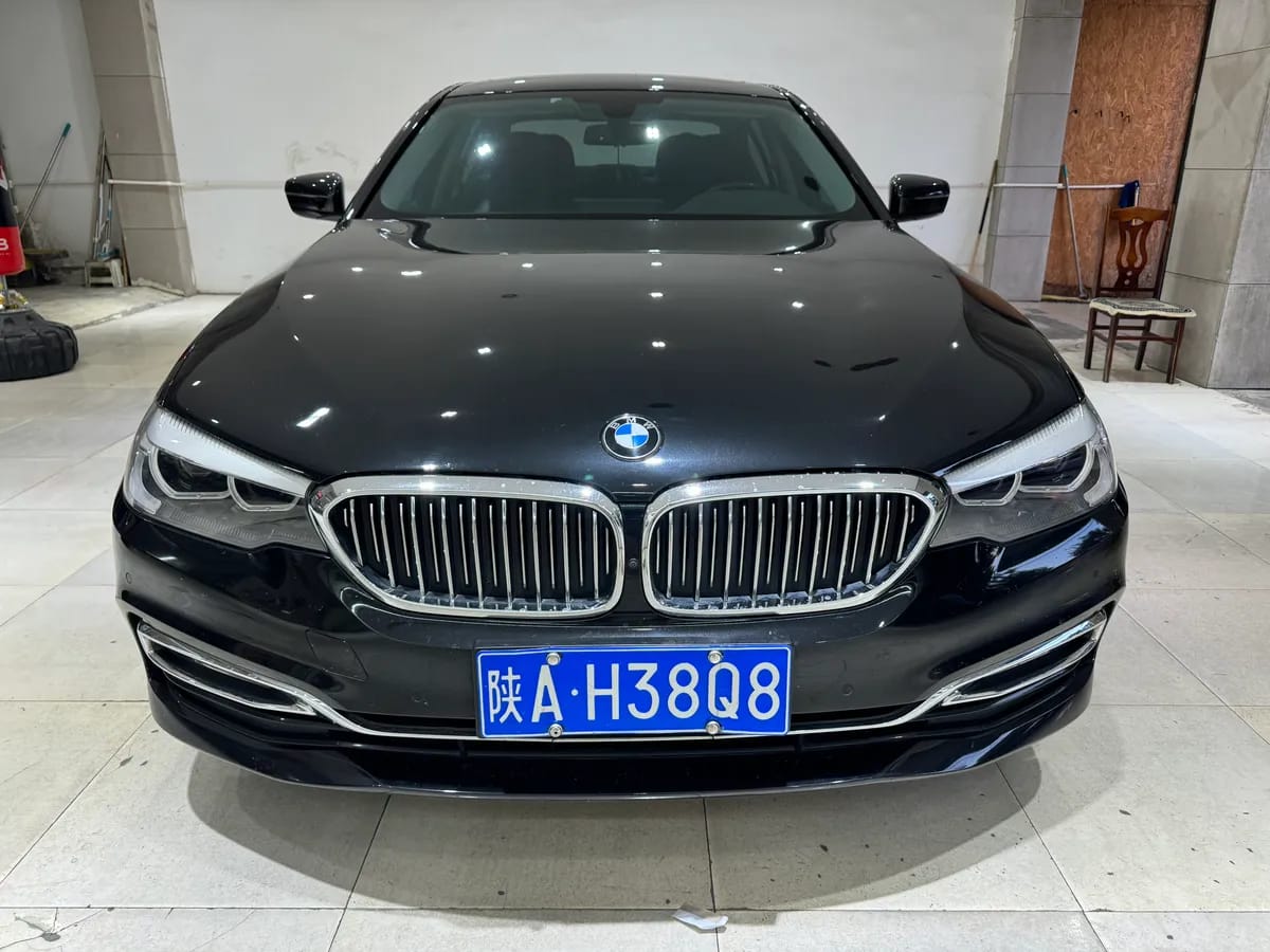 BMW 5 2018 530Li xDrive 2