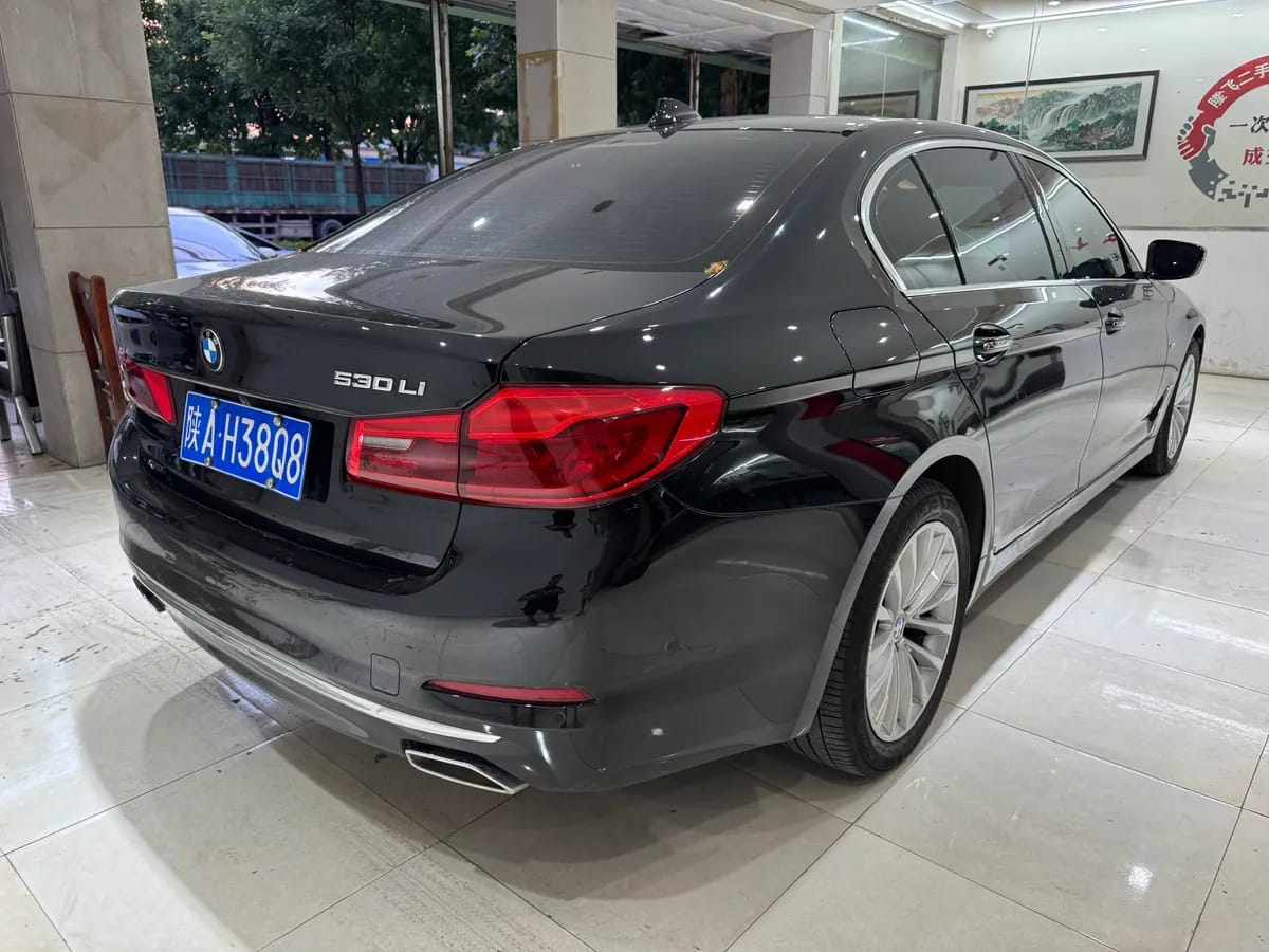 BMW 5 2018 530Li xDrive 9