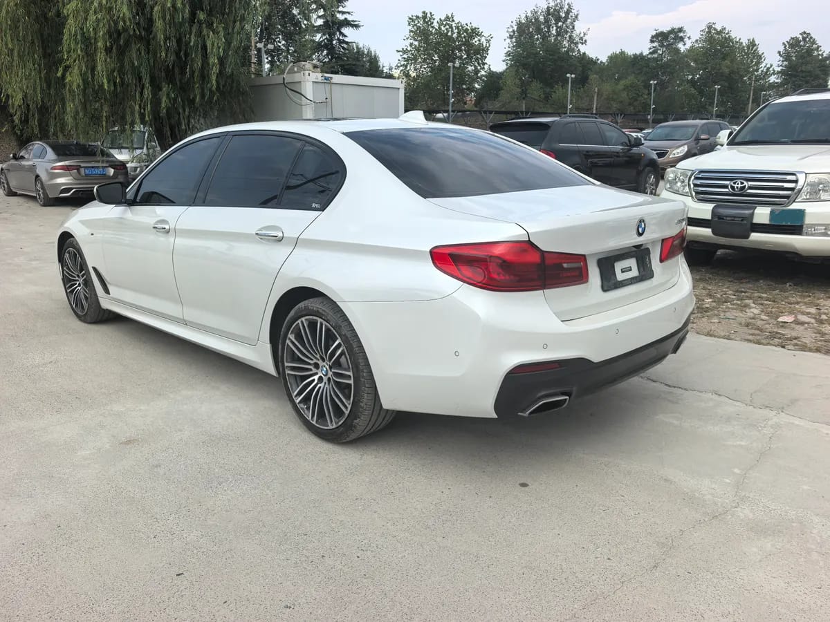 BMW 5 2018 530Li 9