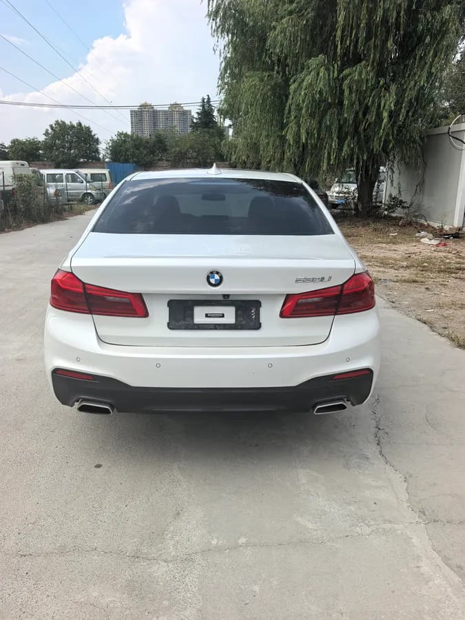 BMW 5 2018 530Li 10