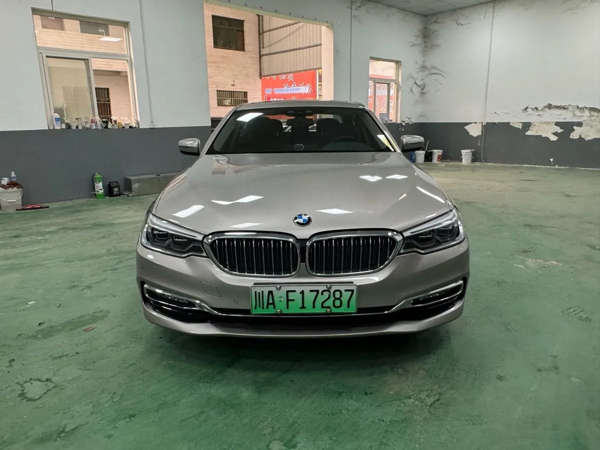 BMW 5 2019 530Le 2