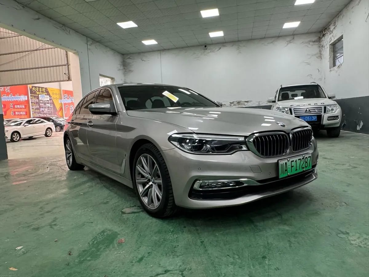 BMW 5 2019 530Le 3