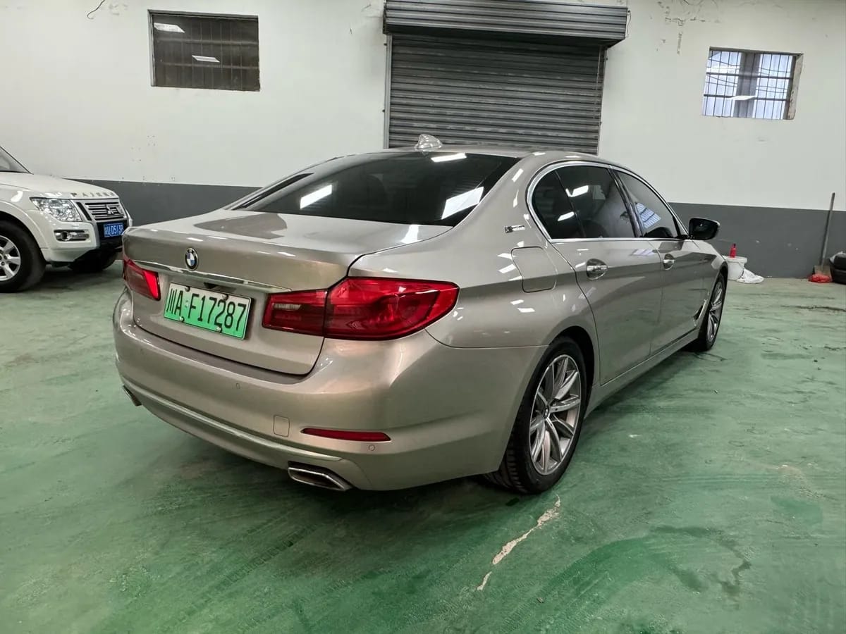 BMW 5 2019 530Le 4