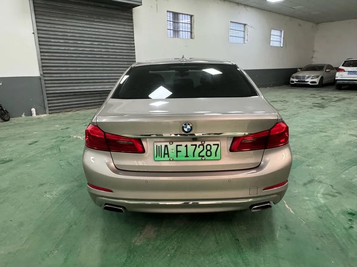BMW 5 2019 530Le 5