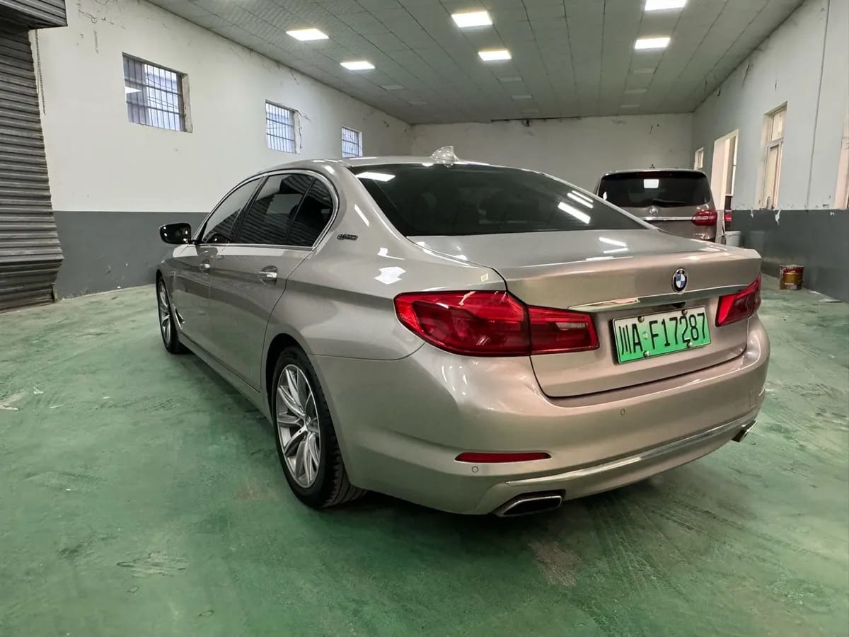 BMW 5 2019 530Le 6