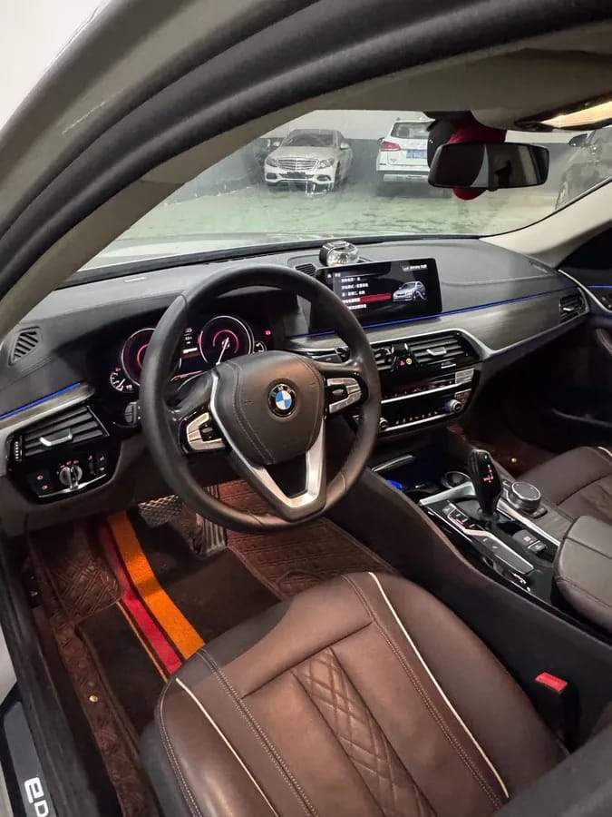 BMW 5 2019 530Le 8