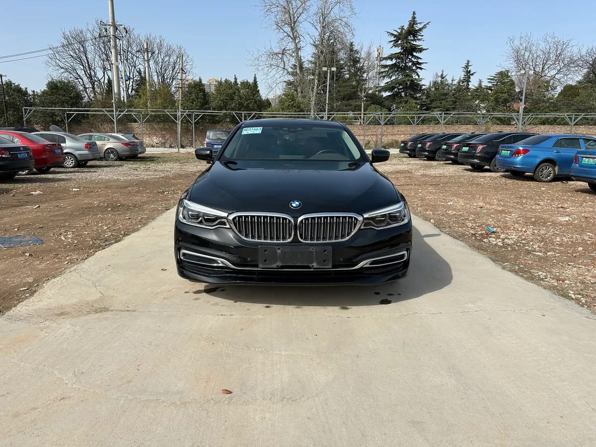 BMW 5 2020 530Le 2