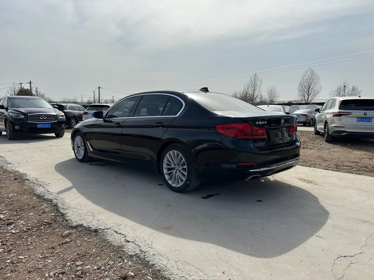 BMW 5 2020 530Le 6