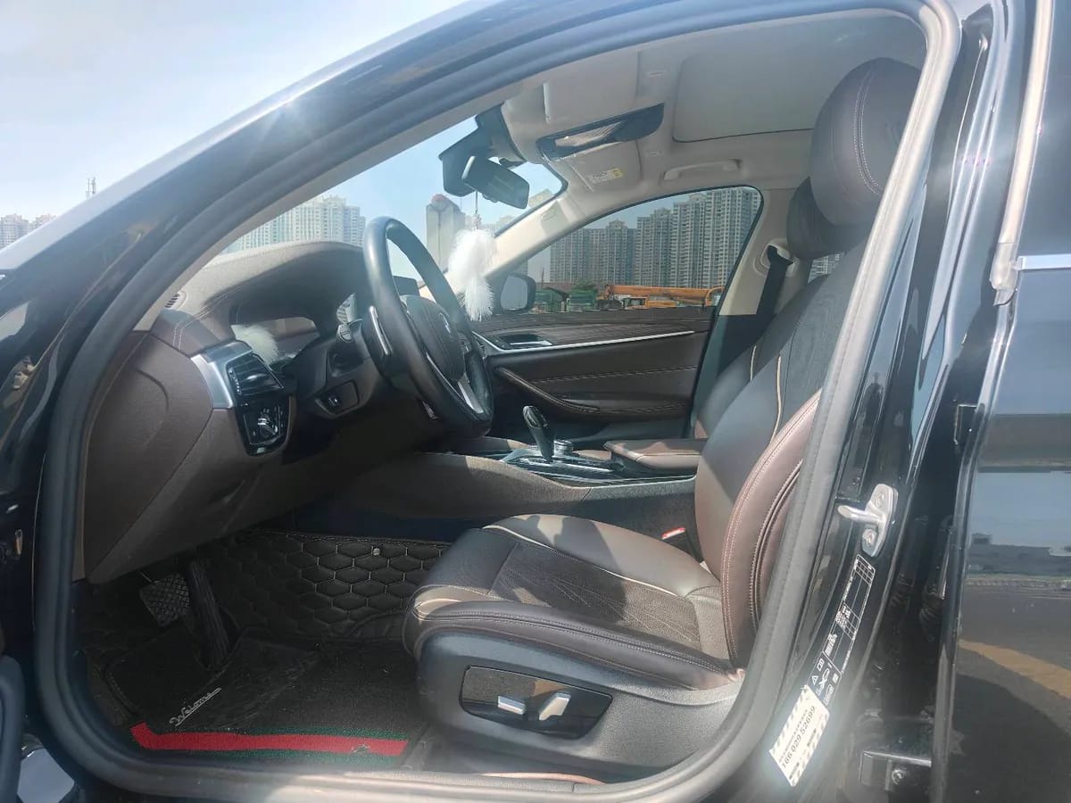 BMW 5 2020 530Li xDrive M 5