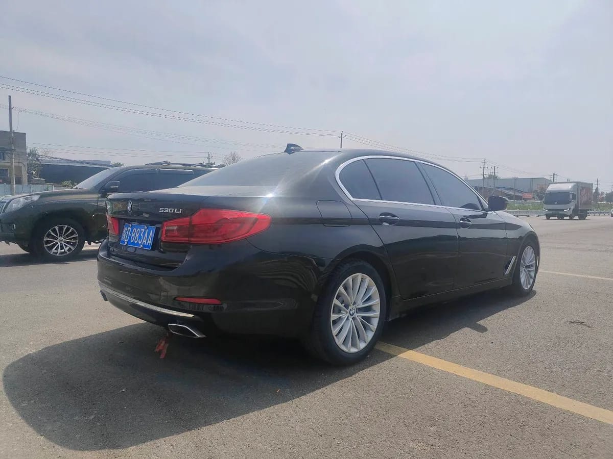 BMW 5 2020 530Li xDrive M 9