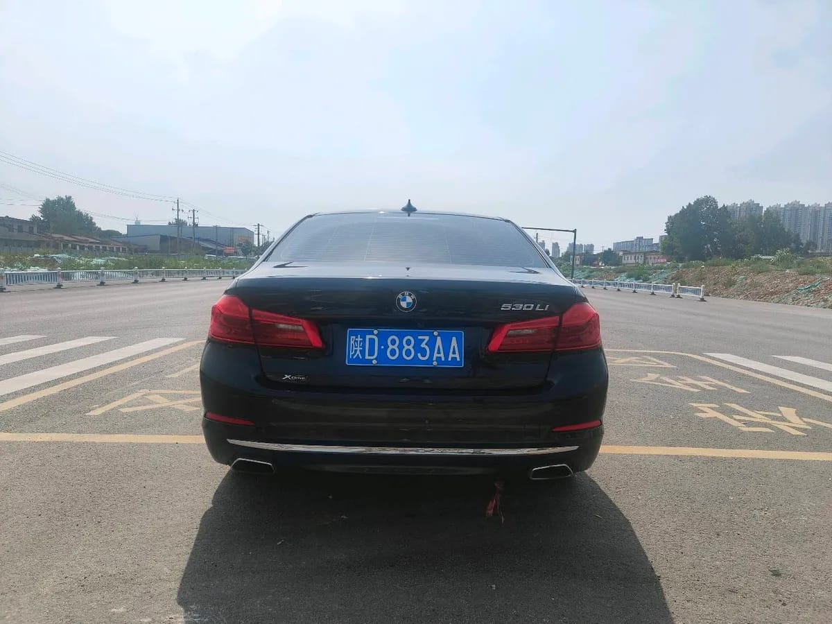 BMW 5 2020 530Li xDrive M 10