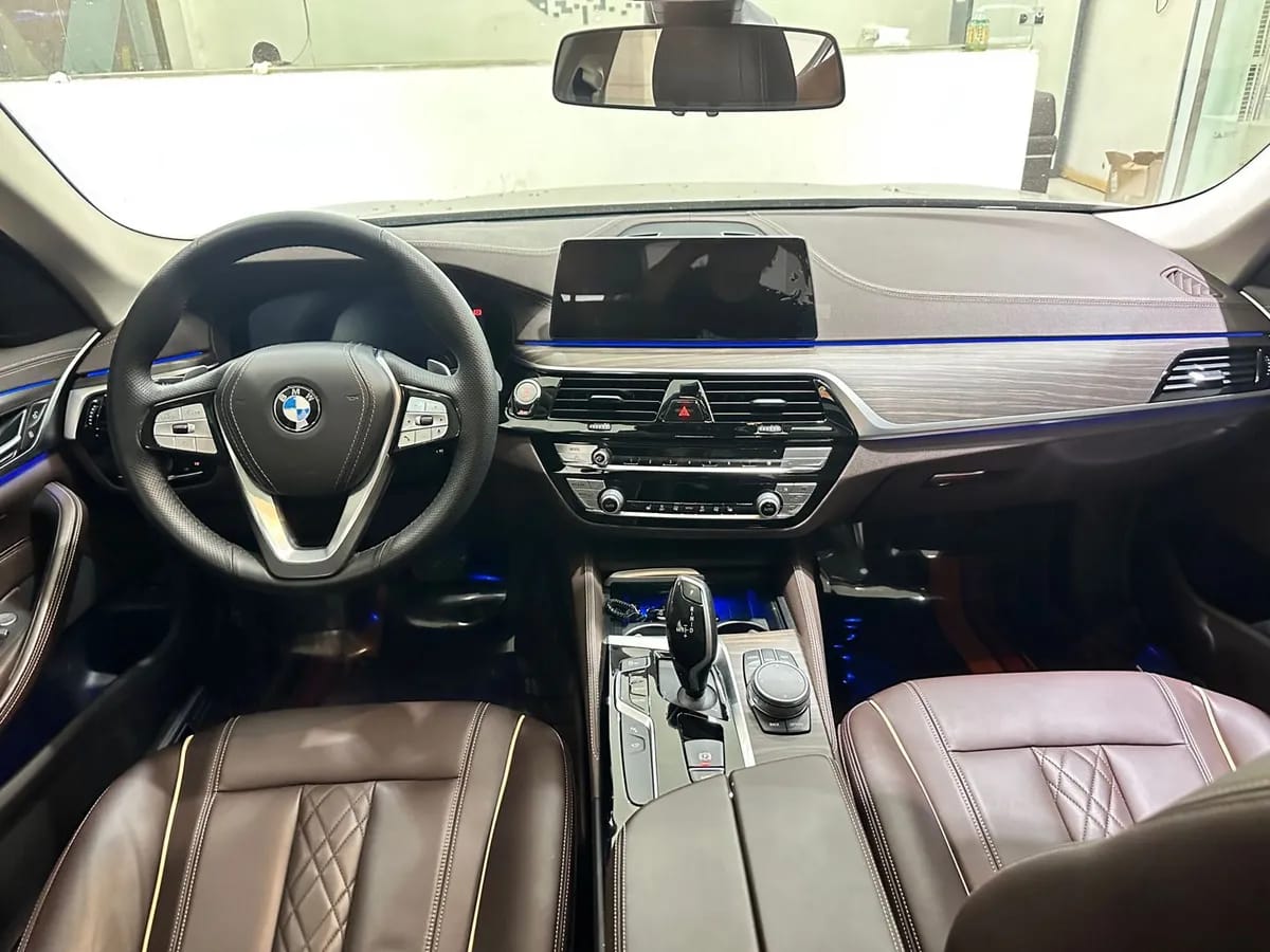 BMW 5 2020 530Li 5