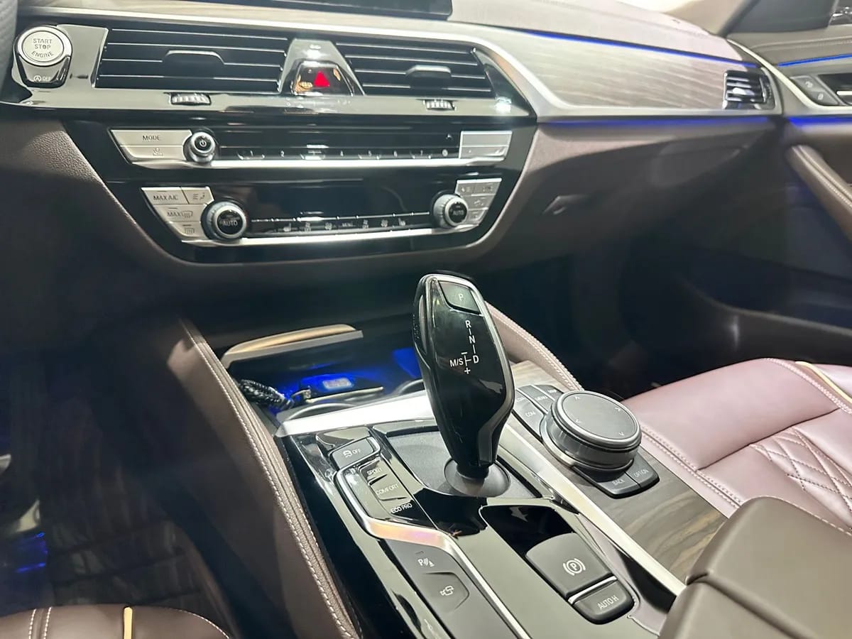 BMW 5 2020 530Li 6