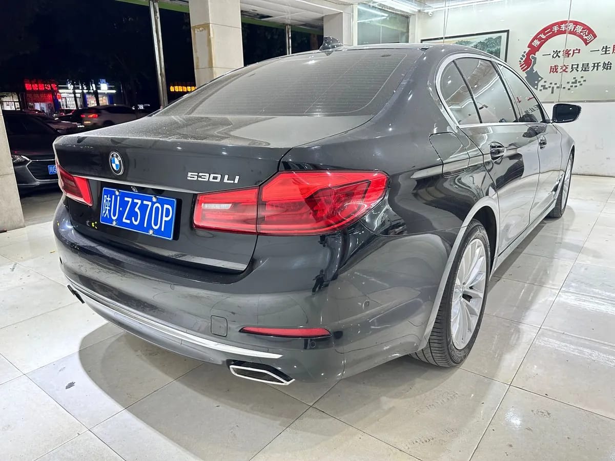 BMW 5 2020 530Li 10